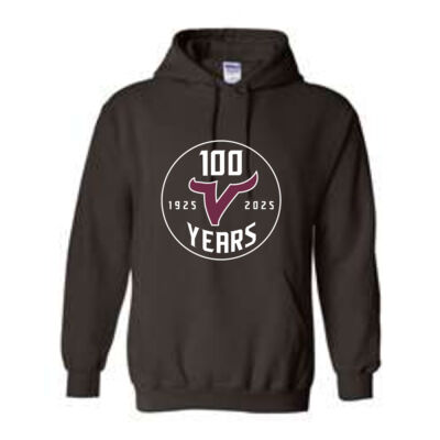 100 Hoodie  Thumbnail